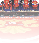 Хоккейные ковры