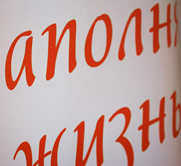 Штора Премиум с логотипом блэкаут